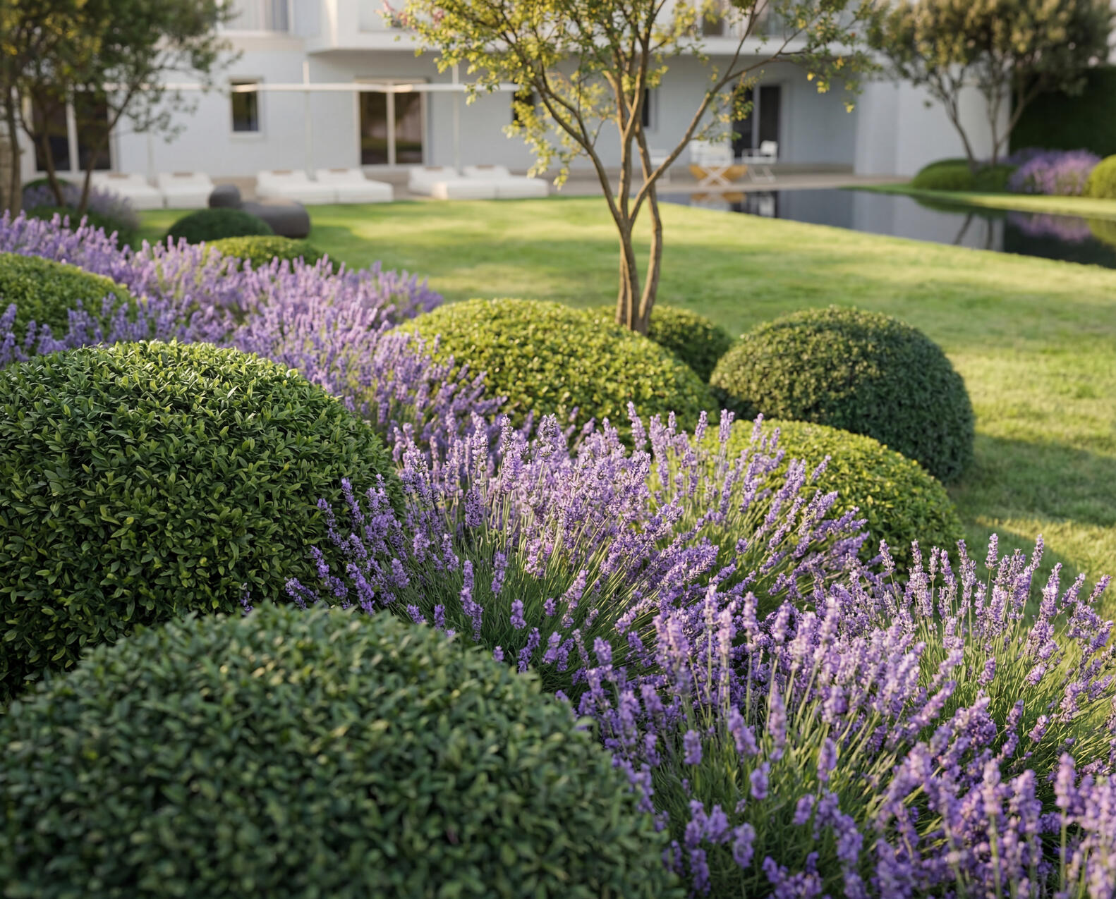 VILLA TITA, Dentice &amp; Partners